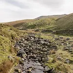 Wainwright